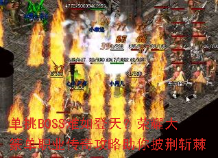 BOSS죿ҫ׭ְҵ湥ն