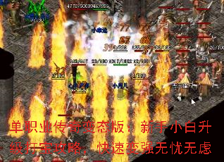 ְҵ̬棺С򱦹ԣٱǿ