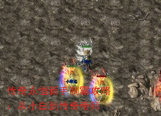 ưԹԣС׵ʦ