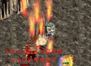 ưԹԣС׵ʦ