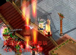 ؾգ΢˴洳ع