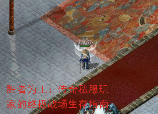 ʤΪ˽ҵռսָ