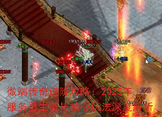 ΢˴׹ԣ2025̬淨Ƚ