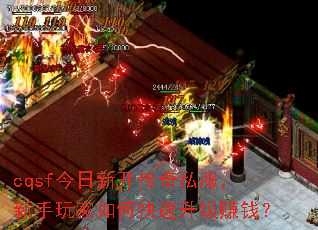 cqsf¿˽ο׬Ǯ