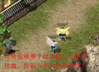 ˽ĸ汾ȼѪһصϷ飿