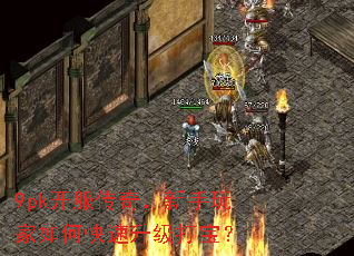 9pk棬ο򱦣