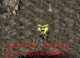 176Ʒ棺ο֣Ϊ귨½