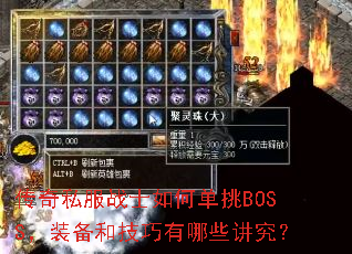 ˽սʿεBOSSװͼЩ