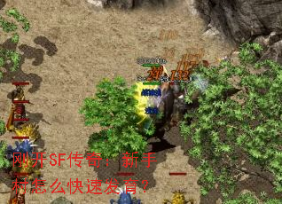 տSF棺ִôٷ