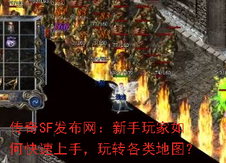 SFο֣תͼ
