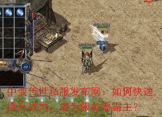 б䴫˽οսΪ