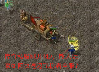 ˽տ1룬ɢοɳưȫ