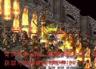 ǻҴ棺ڿװȡBOSSսЩɣ