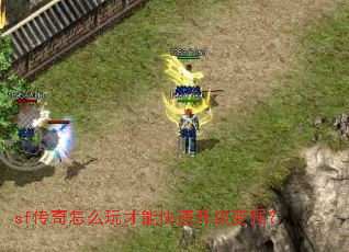 sfôܿǿ