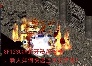 SF123COM¿˽棬οֱУ
