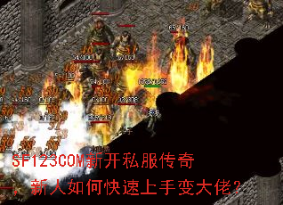 SF123COM¿˽棬οֱУ