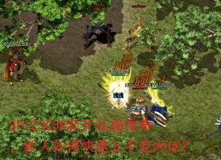 SF123COM¿˽棬οֱУ