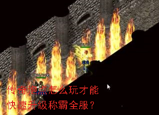 ݵôܿưȫ