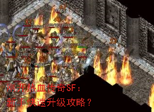 տѪSFֿԣ