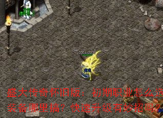ʢ滳ɰ棺ְҵôѡװ㣿