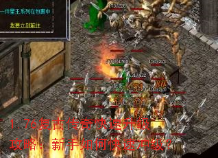 1.76Ŵԣοٳ弶