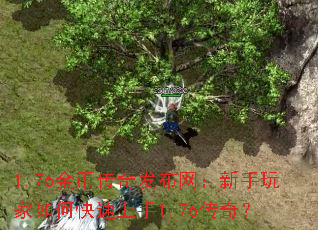 1.76Ҵ淢ο1.76棿