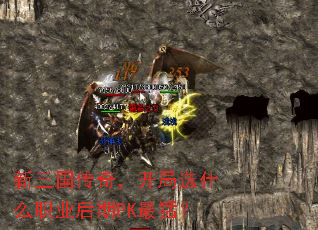 棬ѡʲôְҵPKͣ