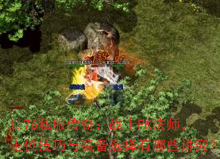 1.76˽棺սʿPKʦλװѡЩ