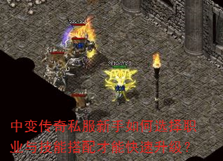 б䴫˽ѡְҵ뼼ܴܿ