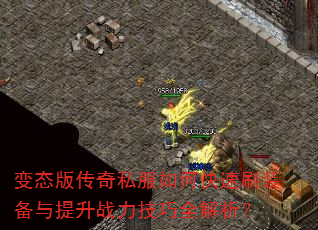 ̬洫˽οˢװսȫ