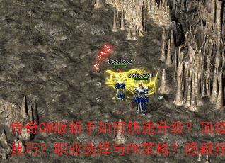 GMοװȡ;Щܴ븱սɣְҵѡPKԣлὨָϣGMָʹôȫ