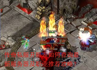 ˽βѯ·ְҵƼԣ