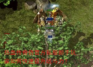 Ѫ¹ٷ˽οս