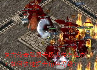 Ŵ˽̫ô죿οɫȼ