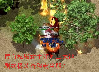 ˽ˢռװưȫ