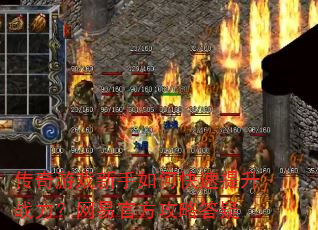 Ϸοս׹ٷԴ