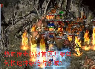 Ѫ˽οٳ弶ռɳǣ