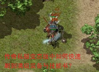 ˽̬οˢװ뼼飿