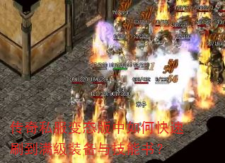 ˽̬οˢװ뼼飿