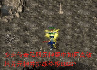 ̬˽ԪθЧԪսռBOSS