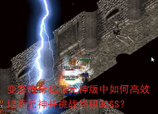 ̬˽ԪθЧԪսռBOSS