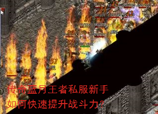 ˽οս