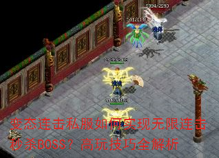 ̬˽ʵɱBOSS漼ȫ