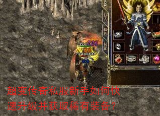 䴫˽οȡϡװ