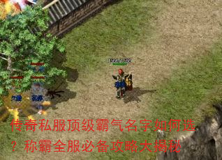 ˽ѡưȫرԴ