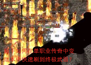 新手如何在单职业传奇中变版本中快速刷到终极武器? 新手如何在单职业传奇中变版本中快速刷到终极武器?