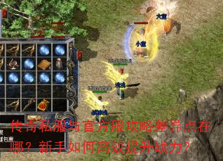 传奇私服与官方服攻略差异点在哪?新手如何高效提升战力? 传奇私服与官方服攻略差异点在哪?新手如何高效提升战力?