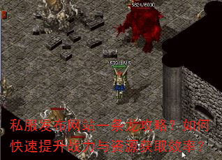 私服发布网站一条龙攻略?如何快速提升<a href=