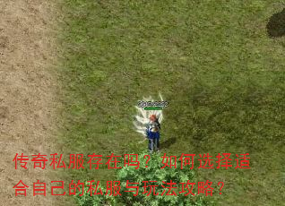 传奇私服存在吗?如何选择适合自己的私服与玩法攻略? 传奇私服存在吗?如何选择适合自己的私服与玩法攻略?