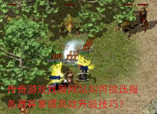 传奇游戏找服网站如何挑选服务器并掌握高效升级技巧? 传奇游戏找服网站如何挑选服务器并掌握高效升级技巧?